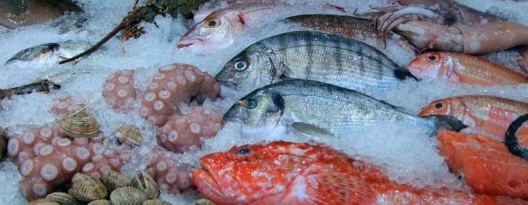pescados en mercado de atarazanas
